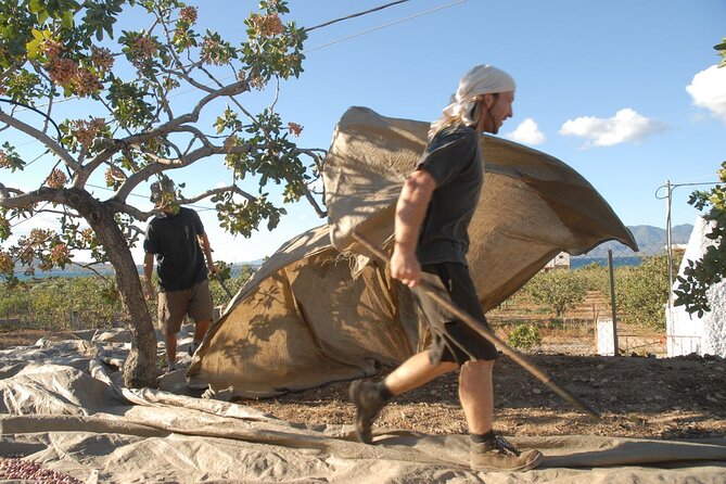 Organic Pistachio Orchard Tour (With Snacks!) - Inclusions
