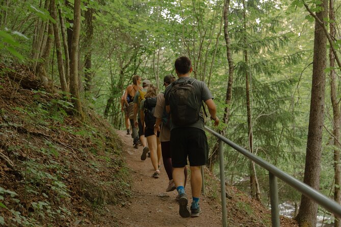 Oslo Hiking - Lysaker River Walk - What to Expect During the Hike