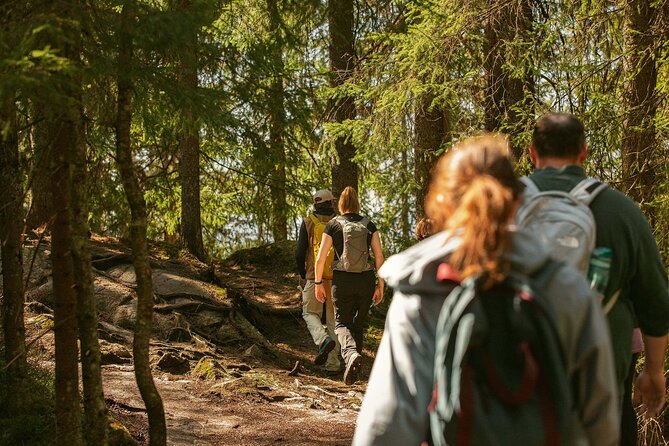 Oslo Hiking - Private Holmenkollen Walk - Tour Details