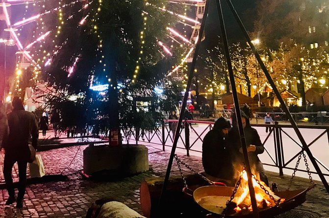 Oslo: Private Christmas Market Walking Tour - Tour Highlights