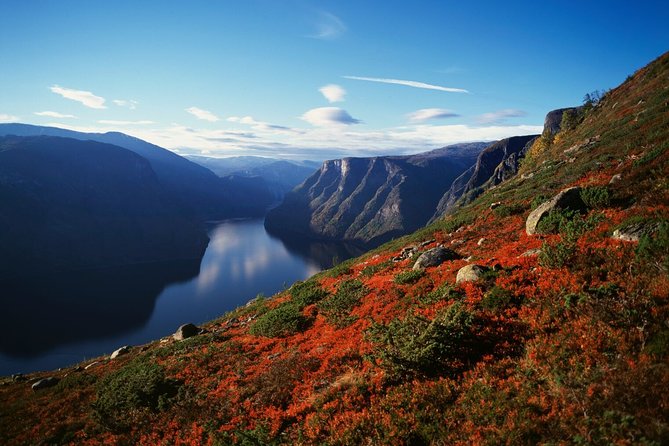Oslo to Bergen Self-Guided Full Day Trip With Flåm Railway and Fjord Cruise - Overview and Itinerary