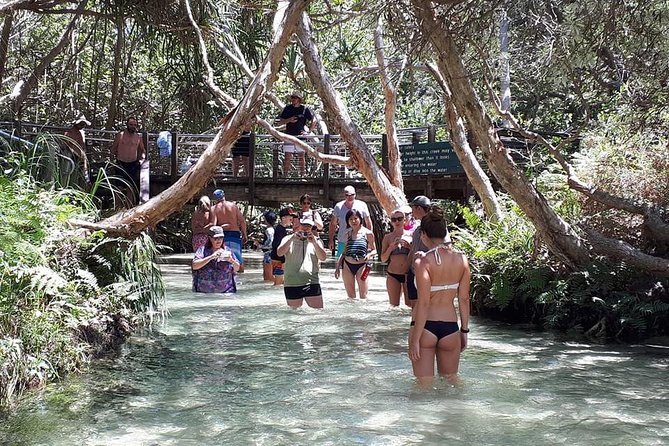 Overnight Fraser Island Camping Safari From Brisbane - Included Activities and Experiences