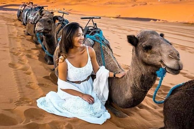 Overnight Luxury Desert Tour From Fez With Camel Ride - Tour Highlights