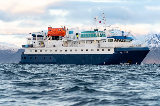 Overnight Northern Lights and Whale Safari - Booking and Availability