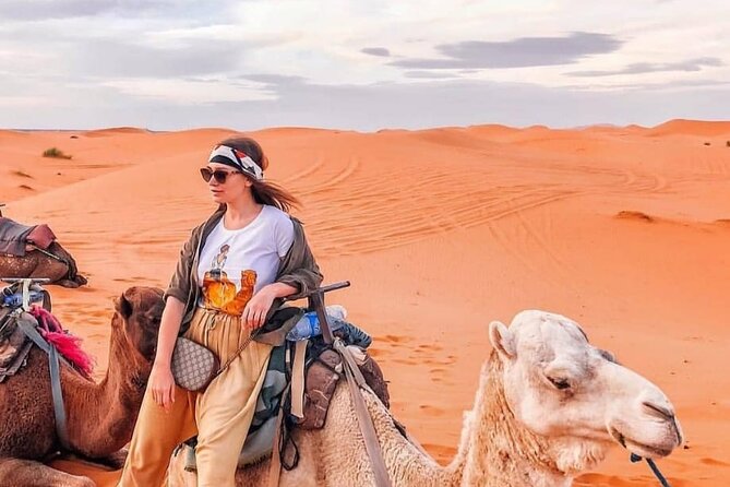 Overnight Stay in Desert Camp & Camel Trekking - Pricing and Guarantee