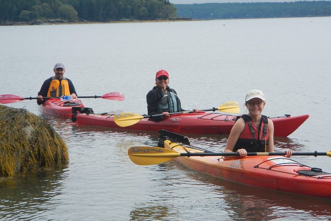 Oyster Farm & Complimentary Tasting Sea Kayak Tour in Casco Bay - Tour Details