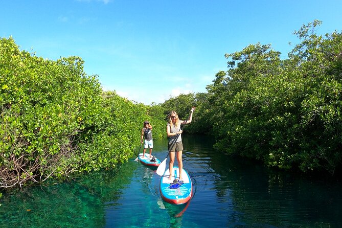 Paddle and Snorkel in Cenote - Riviera Maya - Experience Details