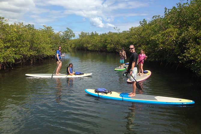 Paddle Boarding Rentals - Inclusions