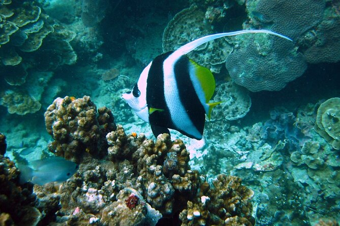 PADI Advanced Open Water Diver Course Two Days One Night Included Accommodation - Duration and Schedule