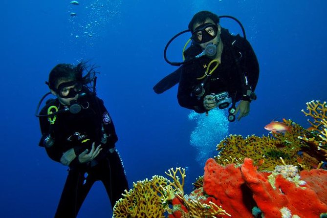 PADI Discover Scuba Diving Course in Bayahibe - Course Overview