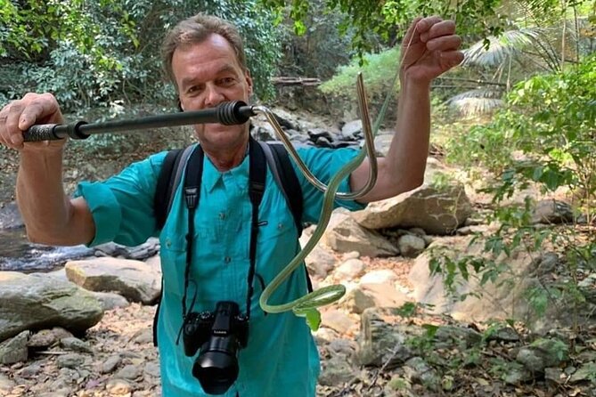 Pala U Waterfall in Kaeng Krachan Jungle With Private Guide From Hua Hin - Diverse Wildlife: Leopards, Elephants, Langurs, and Pythons