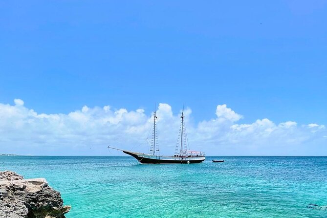Palm Beach Coast Snorkel and Snail From Orangestan  - Aruba - Three Stops for Snorkeling