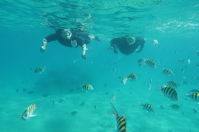 Palm Beach Private Snorkeling Lessons and Tour  - West Palm Beach - Snorkeling in Florida: A Must-Do Activity