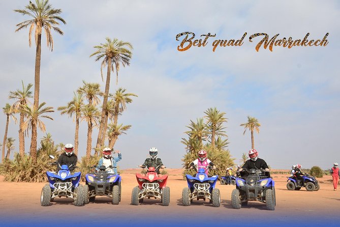 Palm Grove Quad Bike and Camel Ride Tour - Pricing and Details