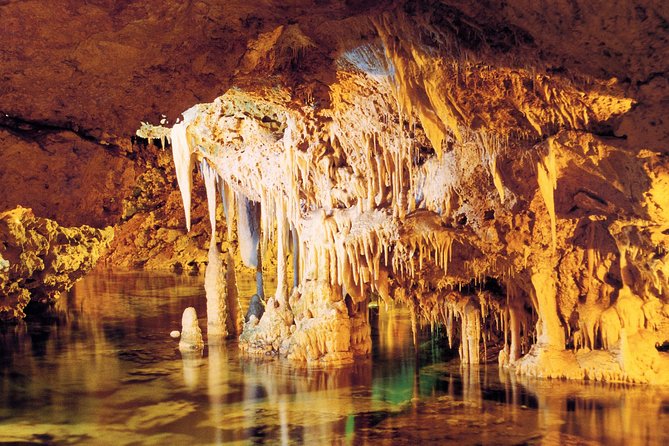 Palma De Mallorca Half-Day to Caves of Hams, Blue Cave and Film - Booking and Flexibility