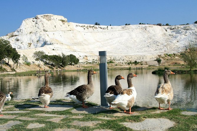 Pamukkale-Small Group Tour- From Kusadasi - Tour Highlights
