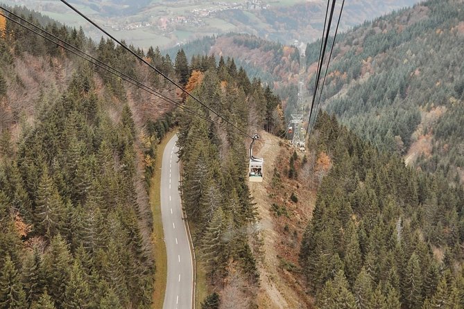 Panorama Hike Through the Black Forest Guided by a Local - Pricing and Booking Options