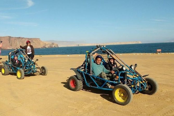 Paracas Full Day: Islas Ballestas, National Park and Sandboarding in Paracas - Meeting, Pickup, and Start/End Details