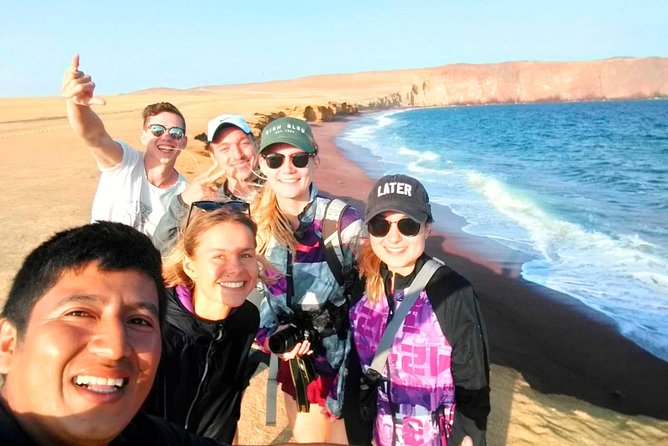 Paracas National Reserve Tour - Wildlife and Landscapes in Paracas National Reserve