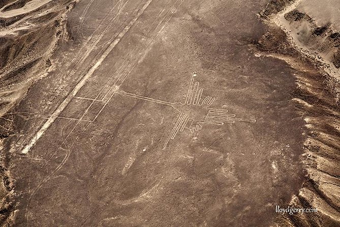 Paracas Shore Excursion: Nazca Lines Tour - Meeting and Pickup