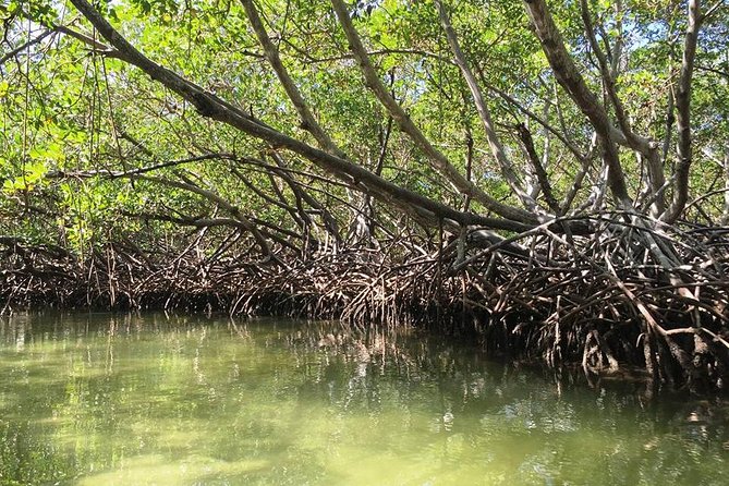 Paradise Island and Monte Cristi National Park Tour  - Puerto Plata - Tour Overview and Highlights