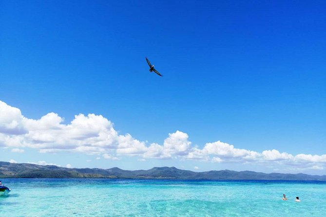 Paradise Island & Mangroves Tour - Highlights of the Paradise Island Visit