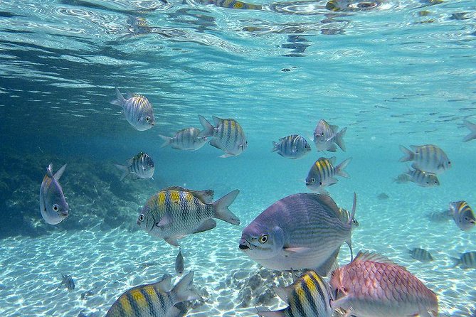 Paradise Taxi & Tours USVI-St Thomas- Airport Transfer Sapphire / Crystal Cove - Overview and Benefits