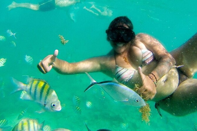 Party Boat - Private Groups, Snorkeling - Open Bar. - Logistics and Accessibility