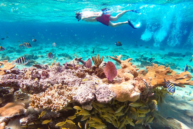 Pearl Island Beach Escape With Lunch From Nassau - Overview of the Excursion