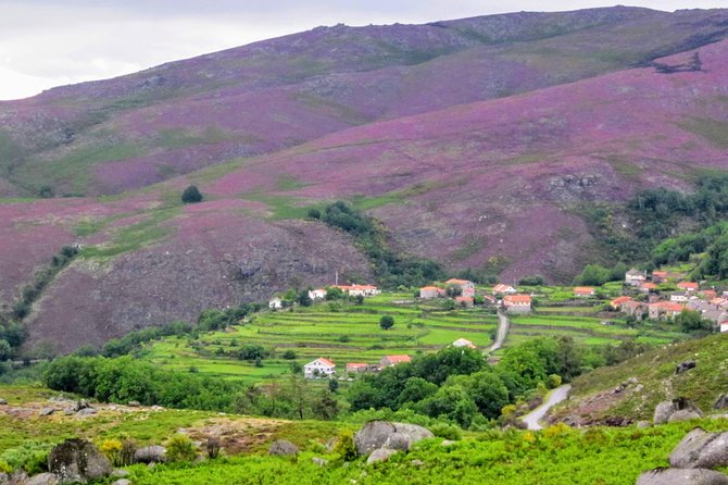 Peneda-Gerês Hiking & Sightseeing: Private Experience - Pricing and Booking Options