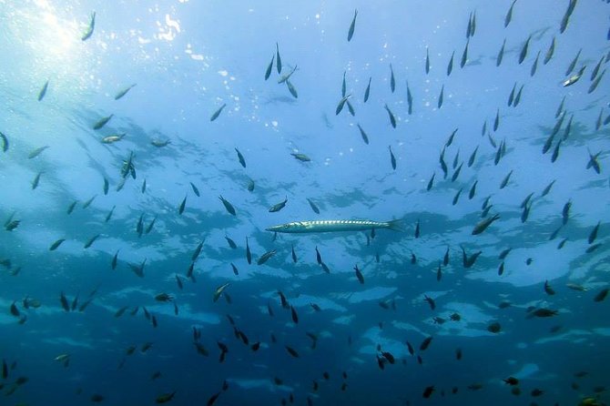 Pequeño Grupo De Buceo Bautismal En Girona. - Meeting Point and Time