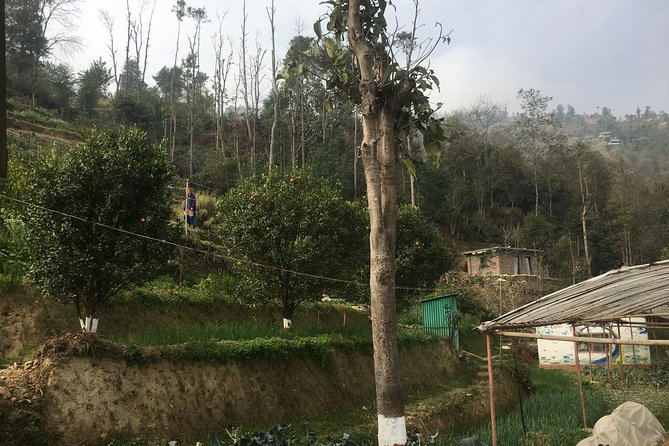 Permaculture Organic Farm Tour in Patlekhet From Kathmandu Nepal - Tour Highlights