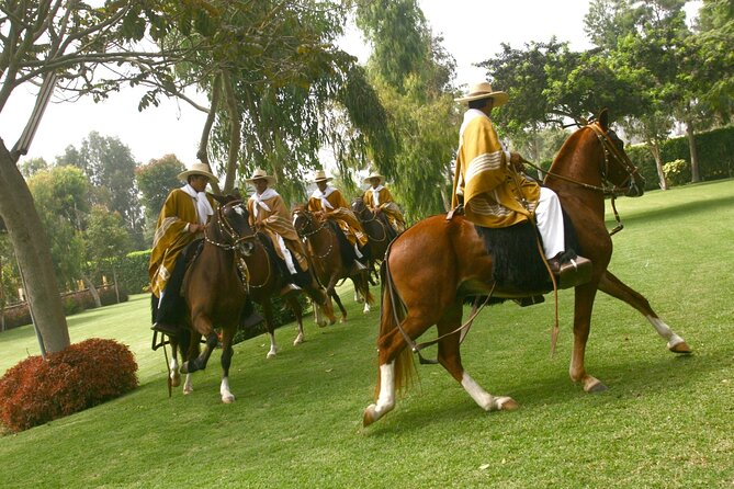 Peruvian Paso Horse & Marinera With Lunch at Trujillo - Pricing and Booking Details