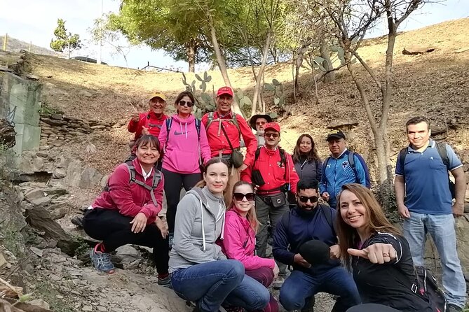 Pet Friendly Hiking in Cerro Del Chupón - Pet-Friendly Guidelines