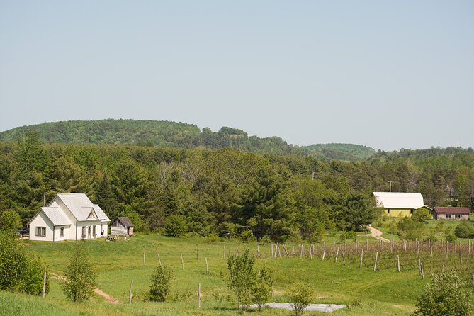 Petite-Nation Wine Tour - Day Trip From Ottawa & Gatineau - Tour Overview and Highlights