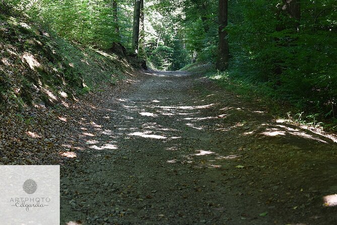 Photo Tour and Artworks in the Capriasca Redde Wood - Tour Duration and Admission Details