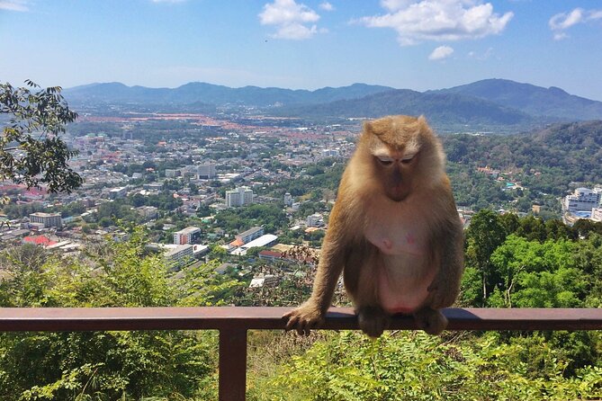 Phuket Private Sunset, Beach, and Local Food Tour - Tour Logistics