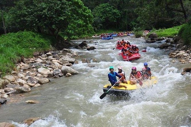 Phuket Whitewater Rafting and ATV Tour With Thai Lunch  - Ko Yao Yai - Pricing and Guarantee