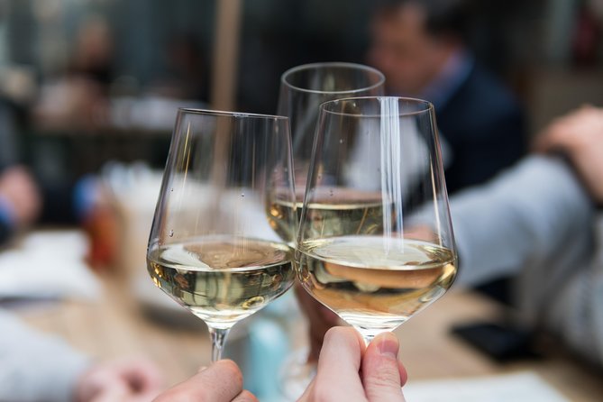 Picnic Wine Tasting at a Lugana Winery  - Brescia - Experience Details