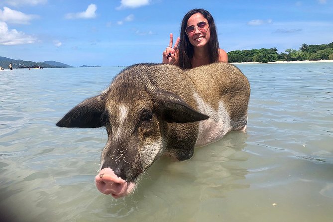Pigs Island Exclusive Semi VIP - Overview and Cancellation Policy