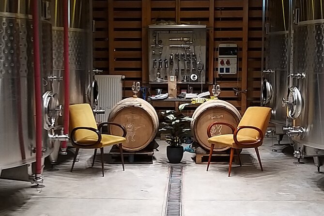 Pinot Noir & Pinot Wine Tour to Baden-Württemberg - Tour Details