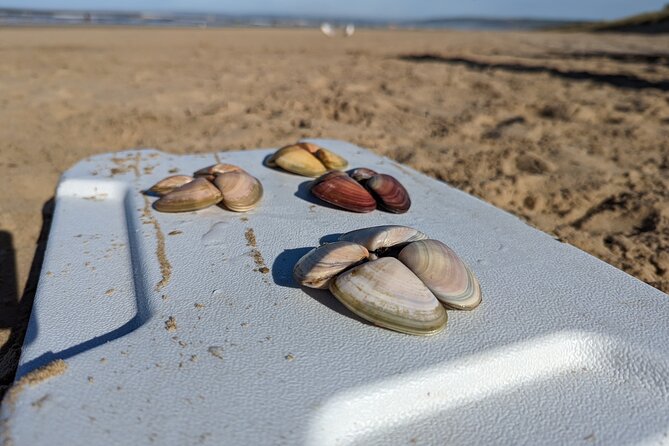 Pipi Catching and Cooking Experience in Goolwa - Overview and Experience