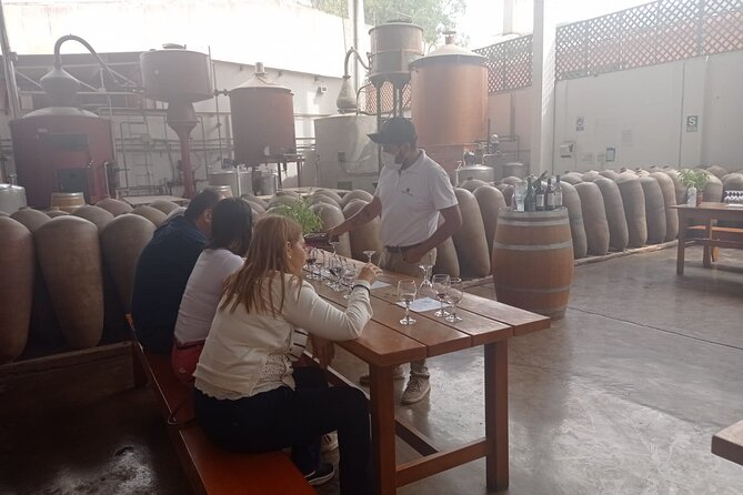 Pisco and Wine Route, Huacachina, Buggies, Sandboard and Sunset - Pisco Tasting and Vineyard Tour