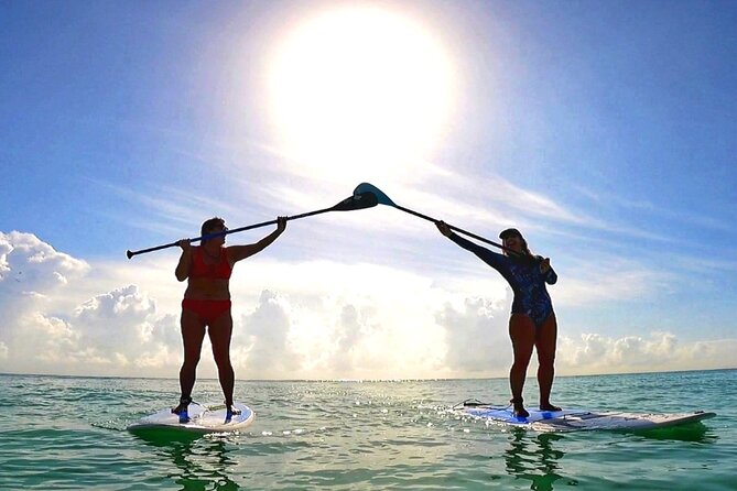 Playa Del Carmen Morning Standup Paddleboarding Session - Activity Details