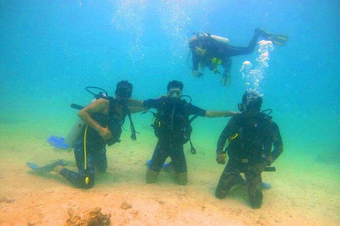 Pleasure Scuba Diving in Fujairah for Certified Diver - Benefits of Pleasure Scuba Diving in Fujairah