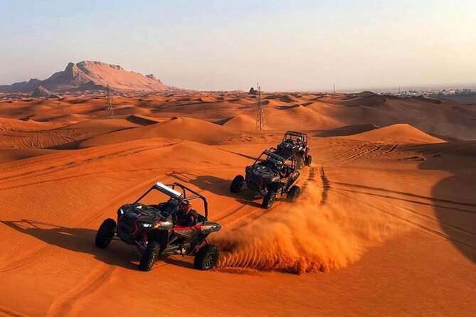 Polaris 1000CC Buggy 2 Seater With Camel Riding and Sand Skiing - Overview