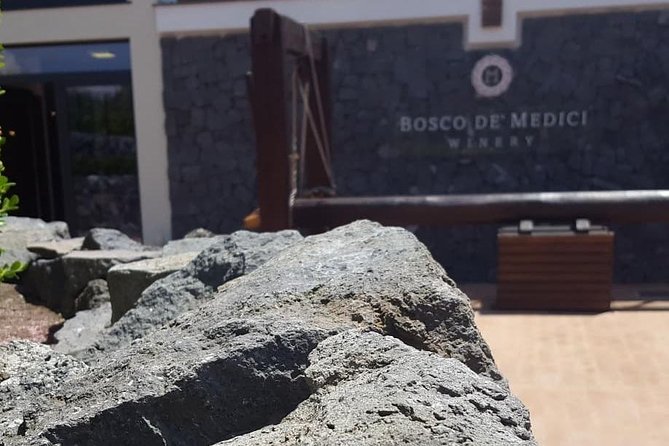 Pompei Archeological Site and Wine Tasting Experience - Tour Overview