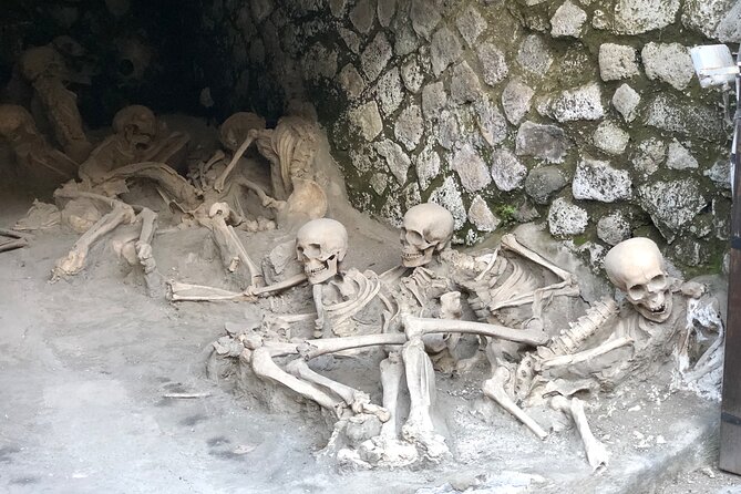 Pompeii and Herculaneum Private Tour With Pick up and Wine Tasting - Tour Details and Highlights