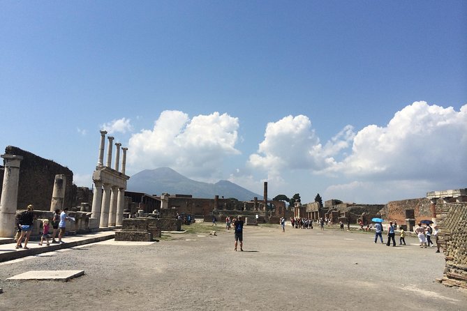 Pompeii-Wine Tasting Tour From Sorrento, Licensed Guide Included - Tour Details