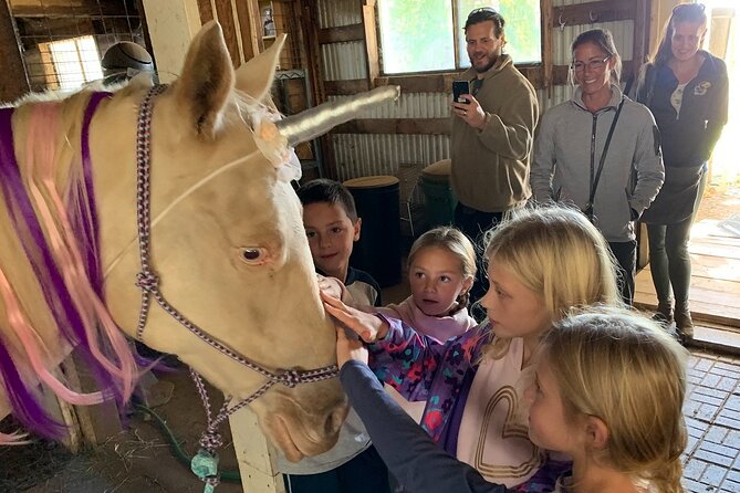 Pony Rides and Petting Zoo - Overview and Experience